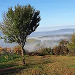 Szilva Es Dio Preshaz