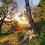 Szilva Es Dio Preshaz Vakantiehuis