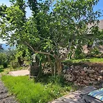 Vakantiehuis Szilva Es Dio Preshaz