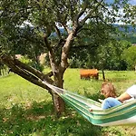 Szilva Es Dio Preshaz * Raposka