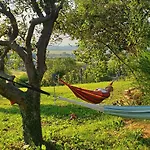 Szilva Es Dio Preshaz * Raposka