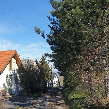 Szilva Es Dio Preshaz *