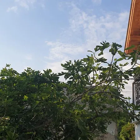 Szilva Es Dio Preshaz Σπίτι διακοπών *