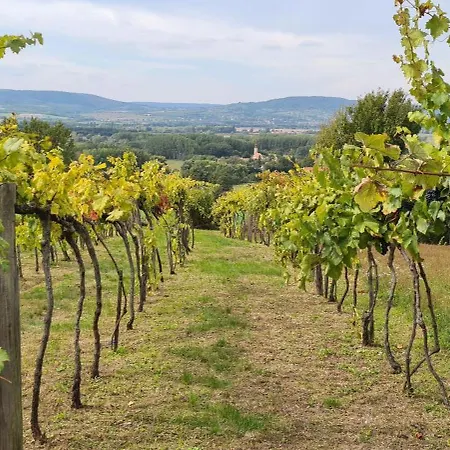 Szilva Es Dio Preshaz