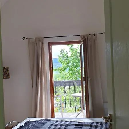 Szilva Es Dio Preshaz