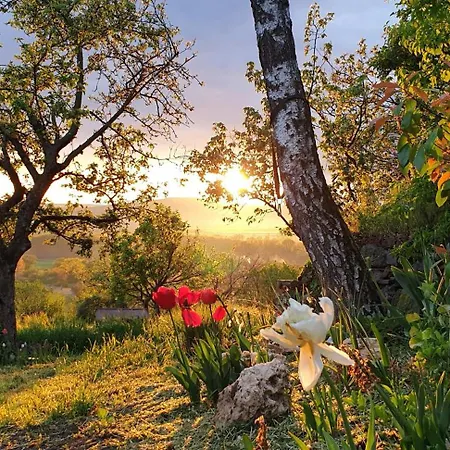 Szilva Es Dio Preshaz Σπίτι διακοπών