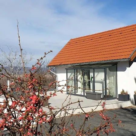 Szilva Es Dio Preshaz