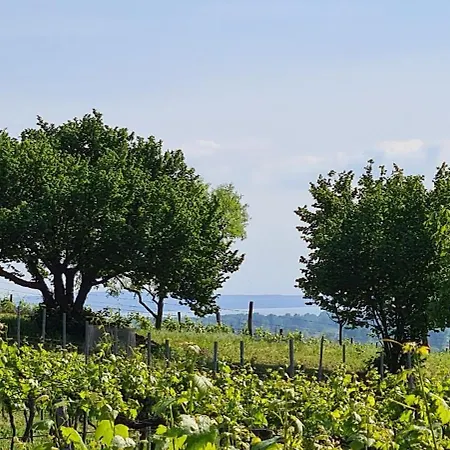 Holiday home Szilva Es Dio Preshaz Raposka