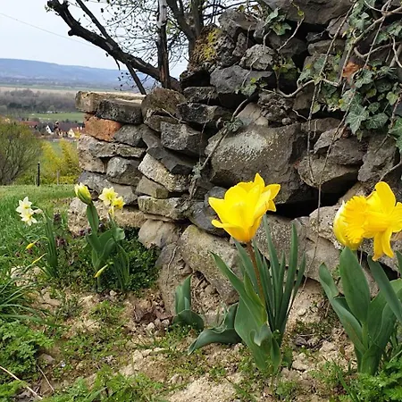 Holiday home Szilva Es Dio Preshaz Raposka