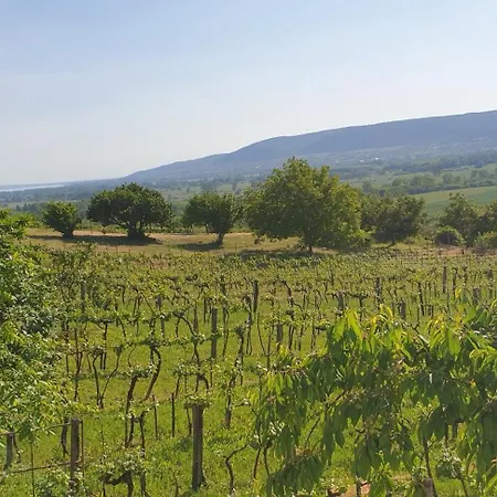 Szilva Es Dio Preshaz Holiday home