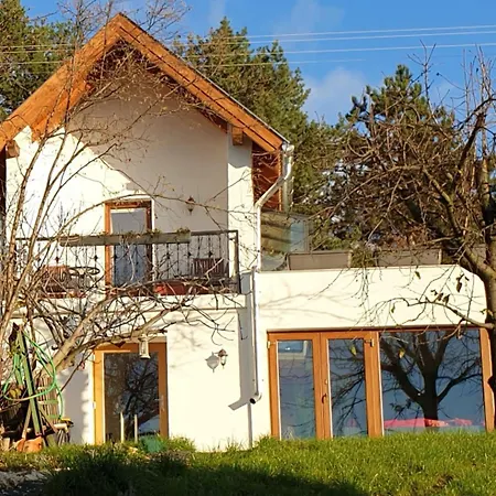 Szilva Es Dio Preshaz