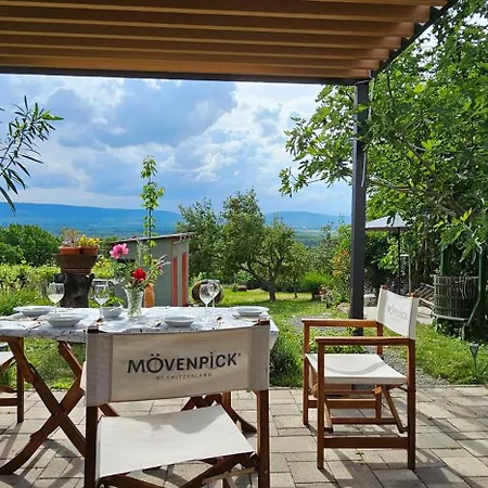 Szilva Es Dio Preshaz