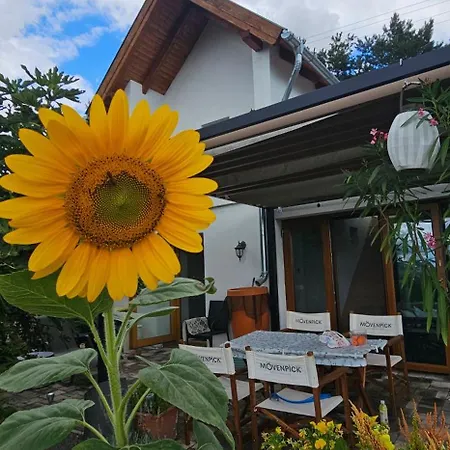 Szilva Es Dio Preshaz *