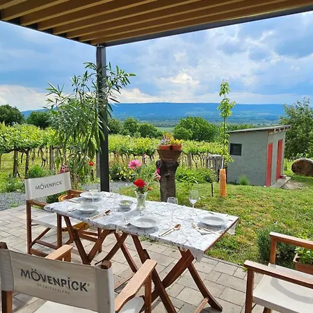 Σπίτι διακοπών Szilva Es Dio Preshaz Raposka