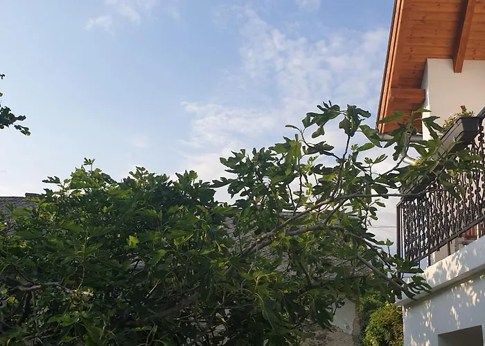 Szilva Es Dio Preshaz Vakantiehuis *