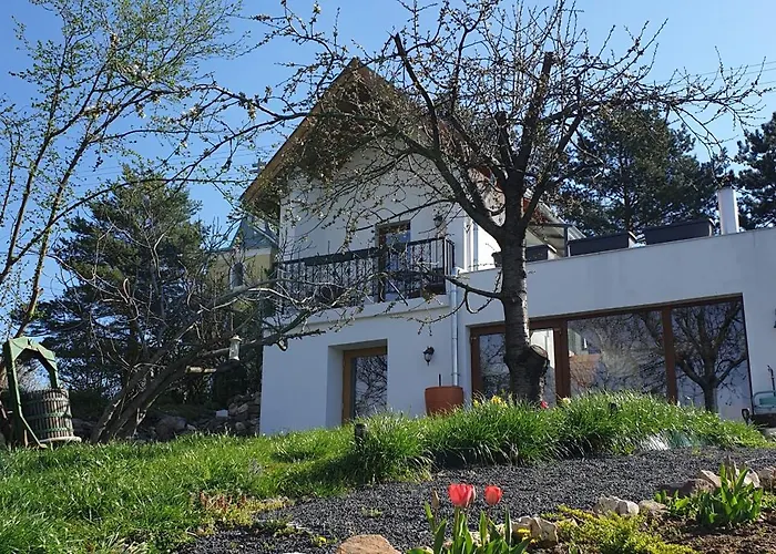 Szilva Es Dio Preshaz Raposka