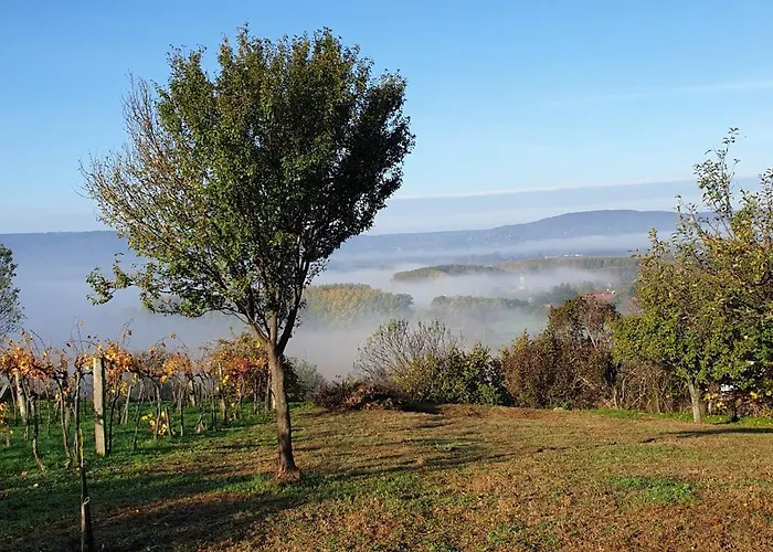 Szilva Es Dio Preshaz