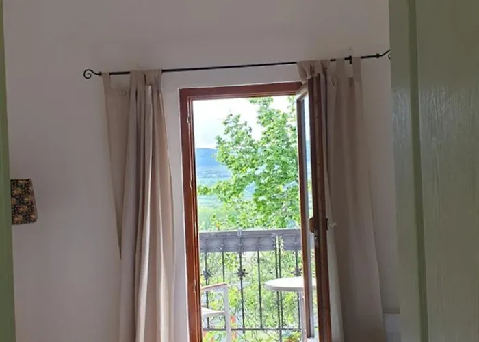 Szilva Es Dio Preshaz