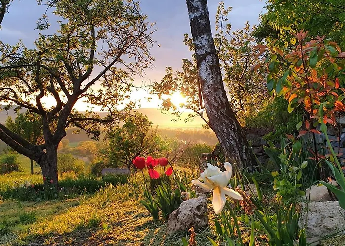 Szilva Es Dio Preshaz Σπίτι διακοπών