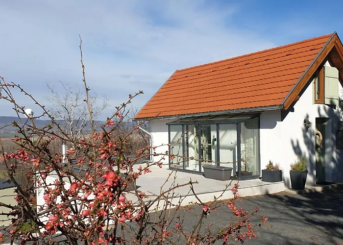 Szilva Es Dio Preshaz