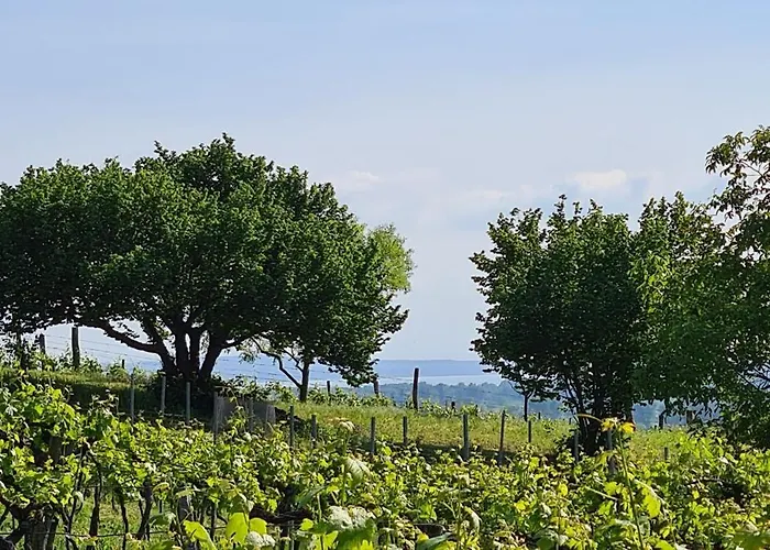 Σπίτι διακοπών Szilva Es Dio Preshaz Raposka