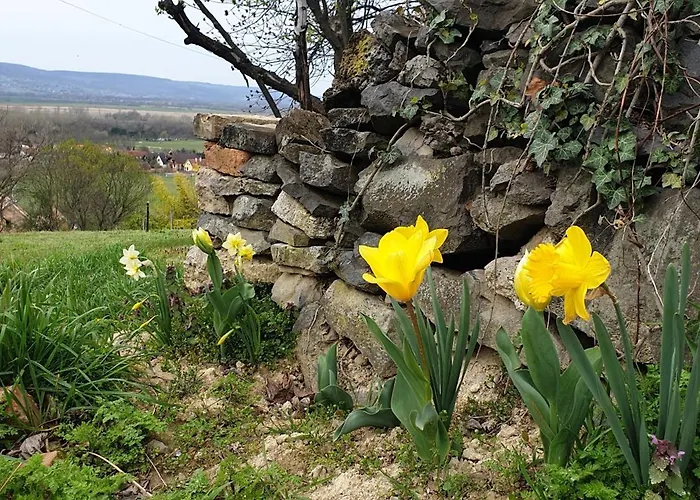 Σπίτι διακοπών Szilva Es Dio Preshaz Raposka