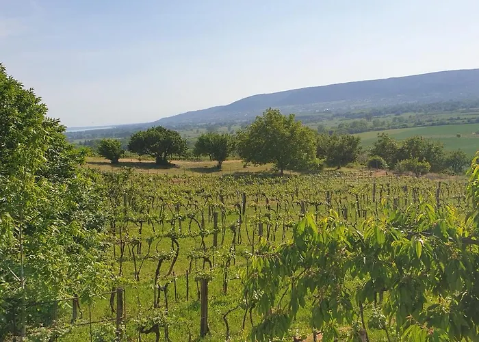 Szilva Es Dio Preshaz Vakantiehuis