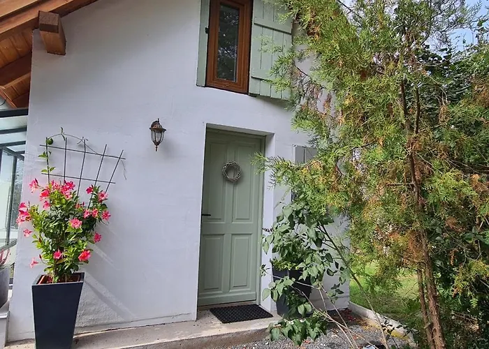 Szilva Es Dio Preshaz *