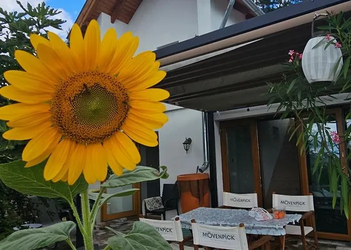 Szilva Es Dio Preshaz *